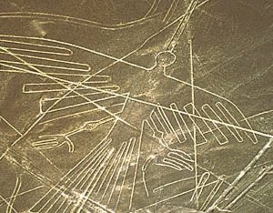 Rnazca